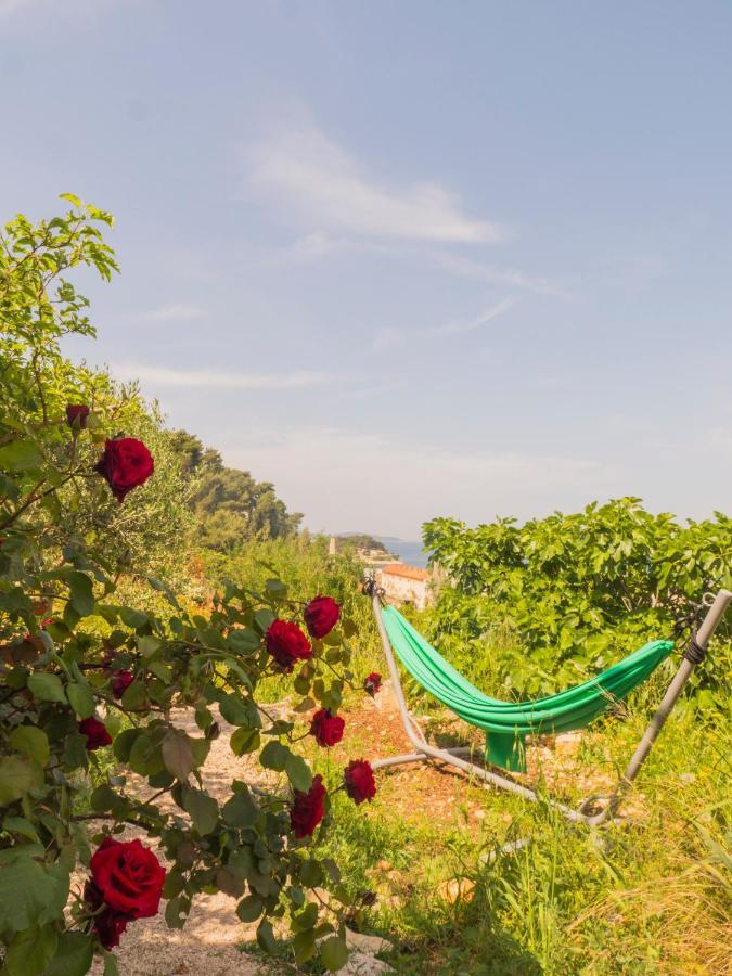 Hostel Kapa Hvar Town Dış mekan fotoğraf